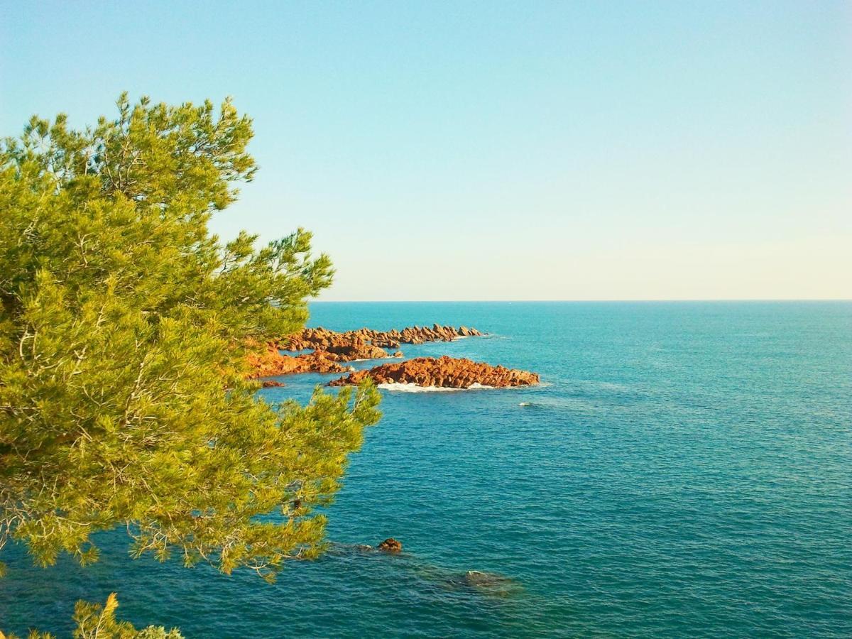 Residence Golfs De Valescure 9 Saint-Raphael  Luaran gambar